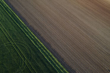 Luftaufnahme einer abstrakten Landschaft mit landwirtschaftlichen Feldern, Frühling, Franken, Bayern, Deutschland - RUEF02238