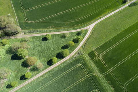 Abstrakte Luftaufnahme einer unbefestigten Straße mit Bäumen und grünen landwirtschaftlichen Feldern, Frühling, Franken, Bayern, Deutschland, lizenzfreies Stockfoto