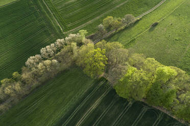 Abstract aerial view of rural landscape with agricultural fields, meadows and trees, springtime, Franconia, Bavaria, Germany - RUEF02246