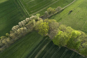 Abstrakte Luftaufnahme einer ländlichen Landschaft mit landwirtschaftlichen Feldern, Wiesen und Bäumen, Frühling, Franken, Bayern, Deutschland - RUEF02246