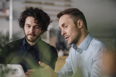 Two businessmen having a meeting in a coffee shop - KNSF05985