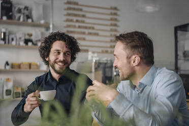 Two businessmen having a meeting in a coffee shop - KNSF05990