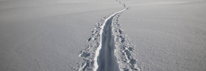 Nahaufnahme von Skispuren im Schnee - MINF12140
