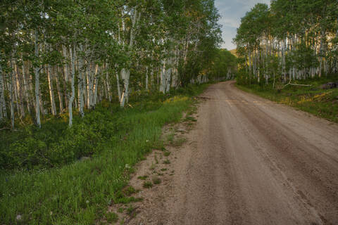 Schotterstraße in ländlicher Landschaft, lizenzfreies Stockfoto