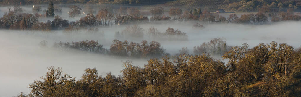 Nebelschwaden über ländlicher Landschaft - MINF12150
