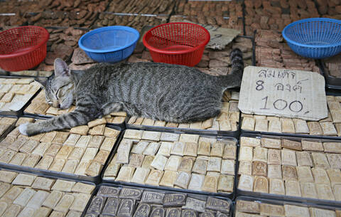 Katze schläft auf Schmuckstücken auf dem Marktplatz, lizenzfreies Stockfoto