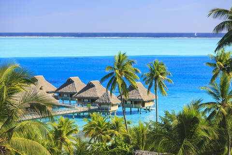 Palm trees overlooking tropical resort, Bora Bora, French Polynesia stock photo