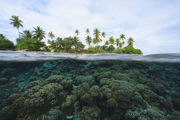 Reef in tropical water, Bora Bora, French Polynesia - MINF12245