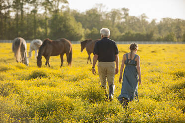 Kaukasischer Mann und Enkelin auf einem Feld mit Pferden - BLEF06775