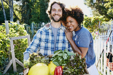 Couple harvesting vegetables in garden - BLEF06787