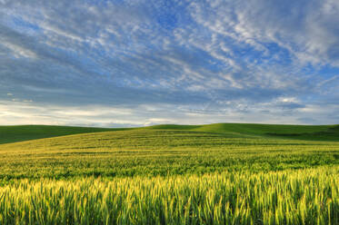 Cloudy sky over rolling hills in rural landscape - MINF12379