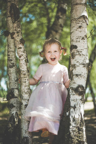 Portrait of happy little girl playing between birch trees stock photo