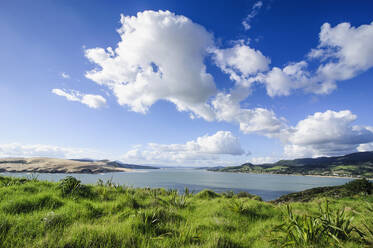 Blick auf das Arai-Te-Uru Recreation Reserve am Südende des Hafens von Hokianga, Westküste Northlands, Nordinsel, Neuseeland - RUNF02692