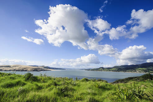 Blick auf das Arai-Te-Uru Recreation Reserve am Südende des Hafens von Hokianga, Westküste Northlands, Nordinsel, Neuseeland - RUNF02692