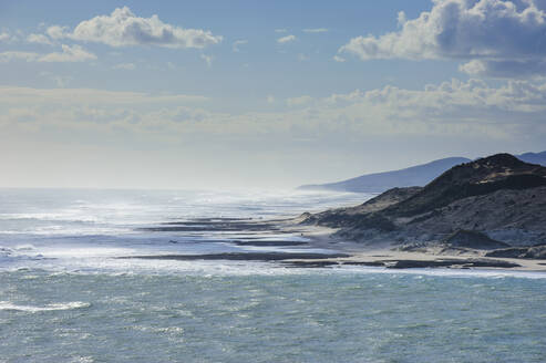 Arai-Te-Uru Recreation Reserve, Hafen von Hokianga, Westküste von Northland, Nordinsel, Neuseeland - RUNF02693