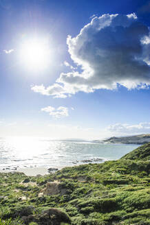 Wunderschöne Küstenlinie im Arai-Te-Uru Recreation Reserve, Hafen von Hokianga, Westküste von Northland, Nordinsel, Neuseeland - RUNF02694