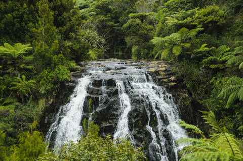 Wasserfall bei Tauranga, Nordinsel, Neuseeland, lizenzfreies Stockfoto