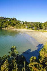 Strand von Oneroa, Waiheke Island, Nordinsel, Neuseeland - RUNF02709