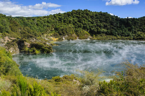 Frying Pan Lake, größte heiße Quelle der Welt, Waimangu Volcanic Rift Valley, Nordinsel, Neuseeland - RUNF02713