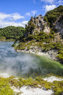Frying Pan Lake, größte heiße Quelle der Welt, Waimangu Volcanic Rift Valley, Nordinsel, Neuseeland - RUNF02714