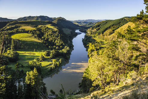 Whanganui River, North Island, New Zealand - RUNF02716