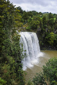Whangarei Falls, Nordinsel, Neuseeland - RUNF02719