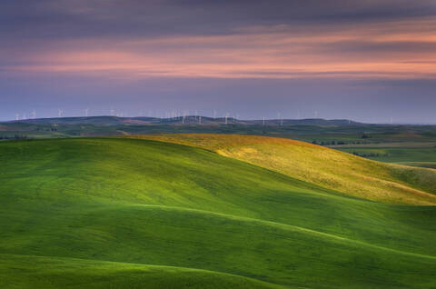 Sanfte grüne Hügel in ländlicher Landschaft, lizenzfreies Stockfoto