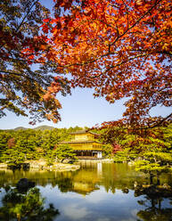 Goldener Tempel, der sich in einem stillen See spiegelt, Kyoto, Japan - MINF12436