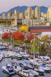 High angle view of boats docked in Vancouver harbor, British Columbia, Canada - MINF12484