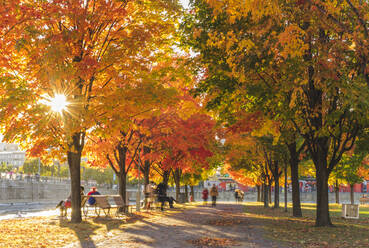 People in park in autumn - MINF12663