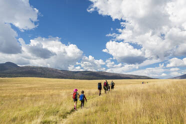 Caucasian children walking in grassy field in remote landscape - BLEF07162