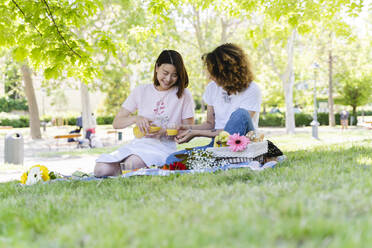 Zwei glückliche Frauen machen ein Picknick im Park - FMOF00705