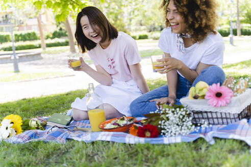 Zwei lachende Frauen machen ein Picknick im Park - FMOF00706