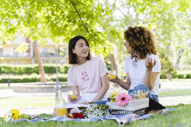 Zwei glückliche Frauen machen ein Picknick im Park - FMOF00707