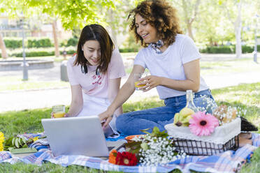 Zwei Frauen machen ein Picknick und benutzen einen Laptop im Park - FMOF00720