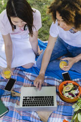 Zwei Frauen machen ein Picknick und benutzen einen Laptop im Park - FMOF00721