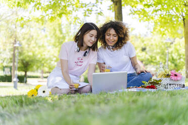 Zwei Frauen machen ein Picknick und benutzen einen Laptop im Park - FMOF00722