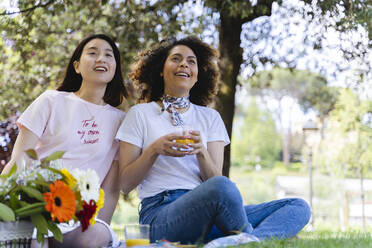 Zwei glückliche Frauen machen ein Picknick im Park - FMOF00734