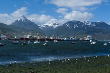 Blick auf den Hafen, Ushuaia, Feuerland, Argentinien, Südamerika - RUNF02789