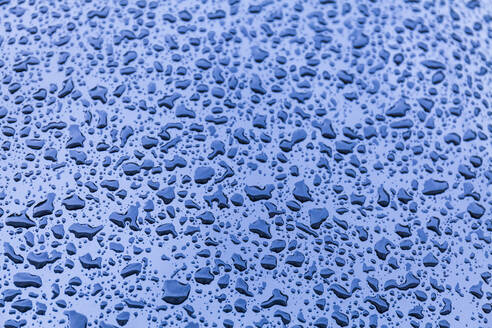 Raindrops on a car - TCF06110
