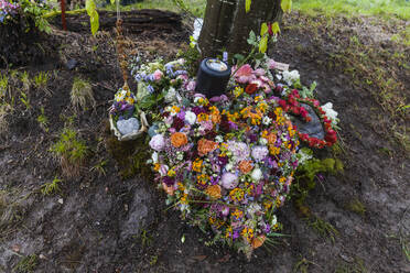 Natural tree burial - TCF06118