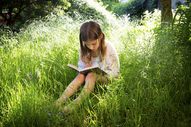 Little girl sitting on a meadow reading a book - LVF08107