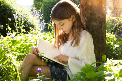 Little girl leaning against tree trunk reading a book - LVF08109