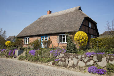 Reetdachhaus, Groß Zicker, Mönchgut, Rügen, Deutschland - WIF03940