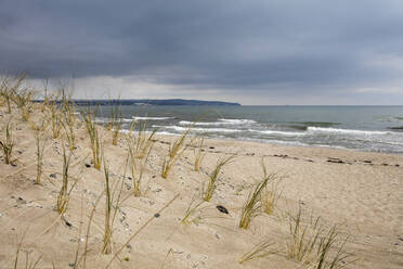 Blick auf das Meer von der Stranddüne, Prora, Rügen, Deutschland - WIF03951