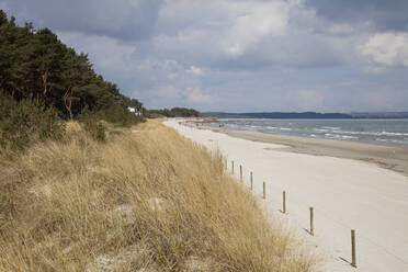 View to beach and the sea from dunes, Prora, Ruegen, Germany - WIF03953