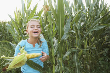 Kaukasisches Mädchen isst Mais auf einem Feld - BLEF07395