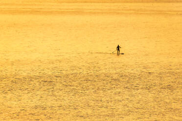 Mann auf Stand Up Paddle Board bei Sonnenuntergang, North Berwick, East Lothian, Schottland - SMAF01258