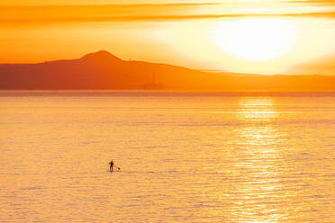 Man on stand up paddle board at sunset, North Berwick, East Lothian, Scotland - SMAF01259