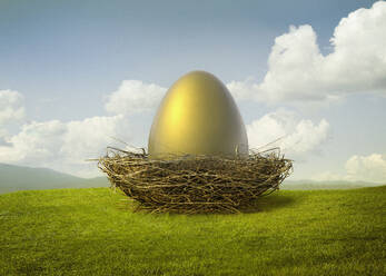 Golden egg in bird's nest - BLEF07494